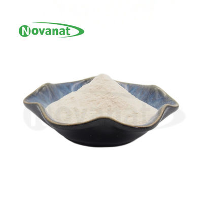 Bifidobacterium Longum Subsp Longum BL88-Onlly / Vegan / Free Allergen / Gluten / Dairy
