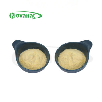 Lactiplantibacillus plantarum LP-Onlly Postbiotics Powder Tyndallized / Vegan/Free (Allergen/Gluten/Dairy)