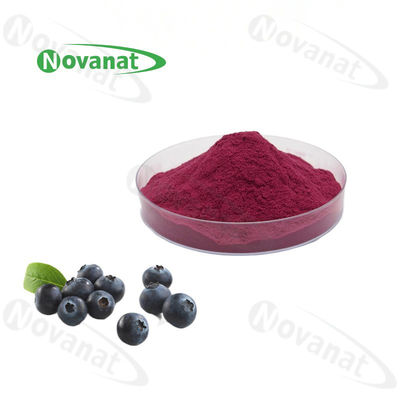Blueberry Powder / Blueberry Concentrated Fruit Vegetable Powder Pure Flavor / Water Soluble / Clean Label