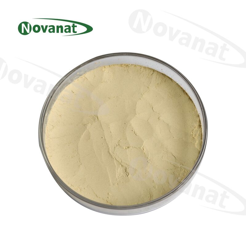 Nekemias grossedentata Leaf Extract Polyphenols 85% (DHM)/Clean Label/Allergen Free