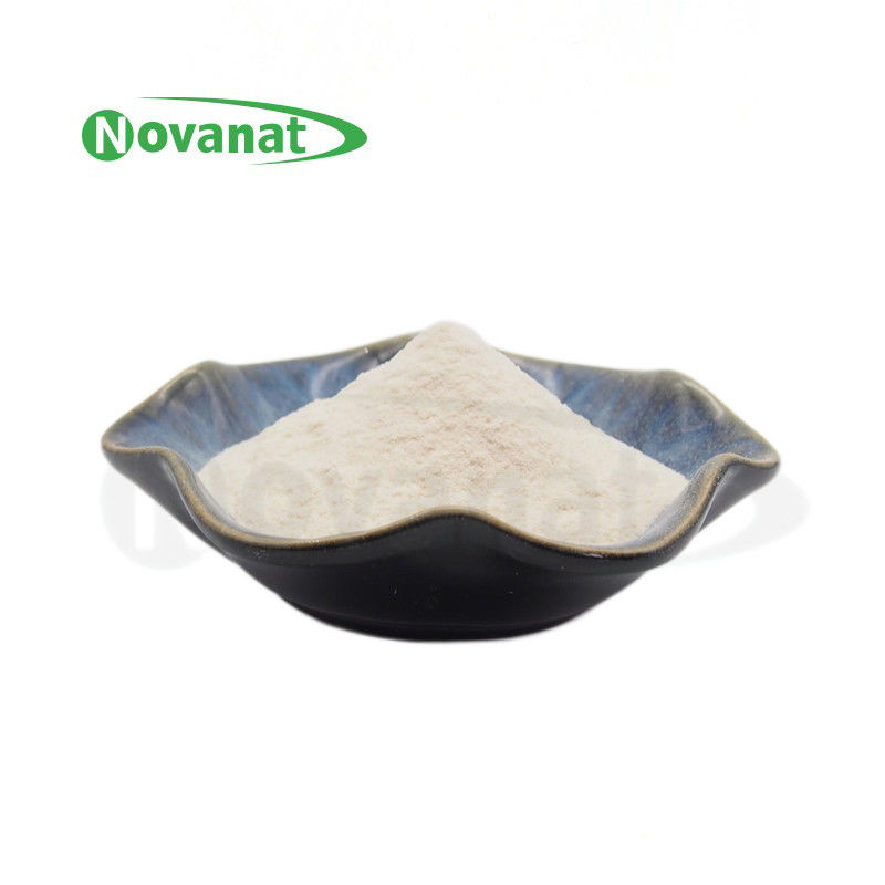 Bifidobacterium Longum Subsp Longum BL88-Onlly / Vegan / Free Allergen / Gluten / Dairy