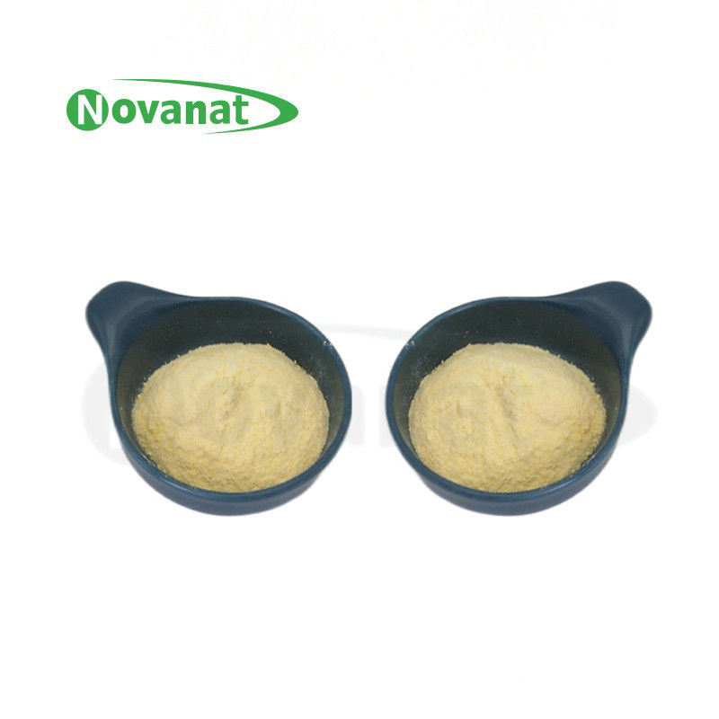 Lactiplantibacillus plantarum LP-Onlly Postbiotics Powder Tyndallized / Vegan/Free (Allergen/Gluten/Dairy)