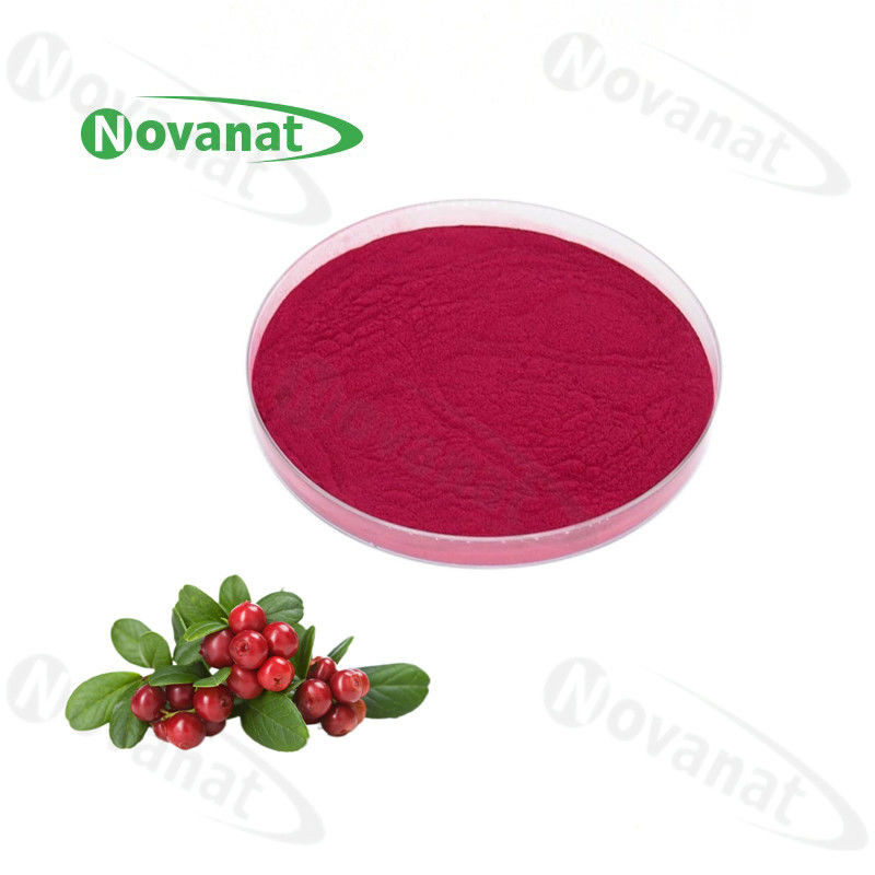 Cranberry Powder / Cranberry Concentrated Fruit Vegetable Powder / Pure flavor / Water Soluble / Clean Label