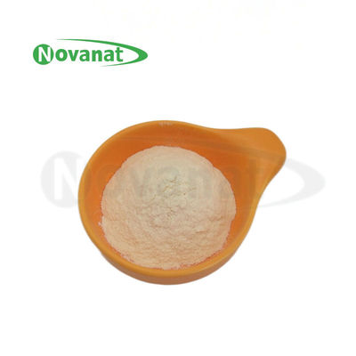 bifidobacterium breve BB8 500 δισεκατομμύρια CFU/g / Vegan / Χωρίς αλλεργιογόνα / Χωρίς γλουτένη / Χωρίς γαλακτοκομικά