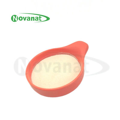 Tyndallized / Vegan Ligilactobacillus salivarius LS86 Χωρίς αλλεργιογόνα / Χωρίς γλουτένη / Χωρίς γαλακτοκομικά προϊόντα