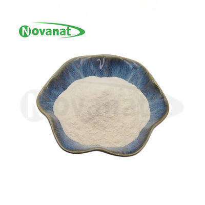 Ligilactobacillus salivarius LS86 100billion CFU/g Προβιοτικά σε σκόνη Βίγκαν/ Αλλεργιογόνο/ Απαλλαγμένο από γλουτένη/ Απαλλαγμένο από γαλακτοκομικά προϊόντα