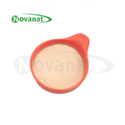 Bifidobacterium animalis subsp. lactis BI516 Μετάβιοτικά σκόνη Tyndallized / Vegan / Αλλεργιογόνο / Απαλλαγμένο από γλουτένη / Απαλλαγμένο από γαλακτοκομικά προϊόντα