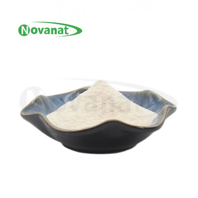 Limosilactobacillus reuteri LE16/200billion CFU/g/Vegan/Free (Αλλεργιογόνος/Γλουτένη/Γάλα)
