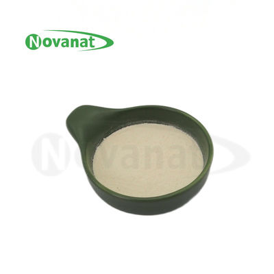 Lactobacillus delbrueckii subsp. Bulgaricus lb2/50billion CFU/g/vegan/αλλεργιογόνο ελεύθερο/χωρίς γλουτένη/γαλακτοκομικά προϊόντα
