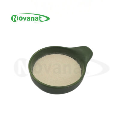 Lacticaseibacillus Paracasei LPC28 / 400billion CFU/g / Βίγκαν / Απαλλαγμένο από αλλεργιογόνα / Γλουτένη / Γαλακτοκομικά